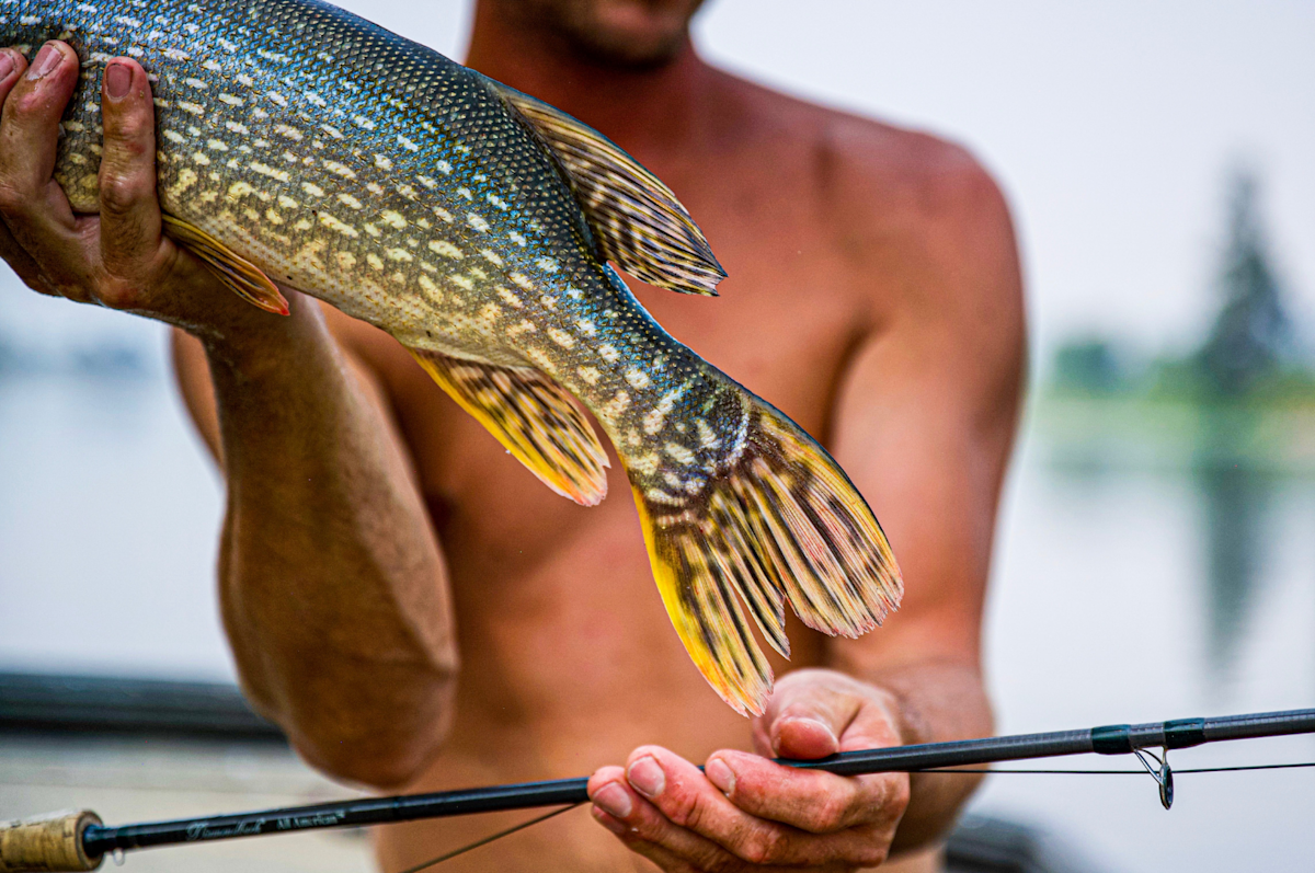 The best catches from Fishbrain