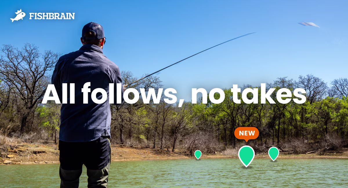 All follows and no takes