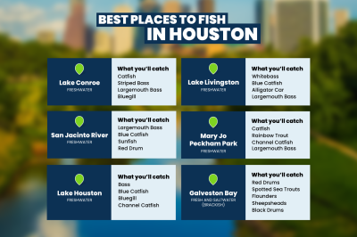 Where to fish in Houston
