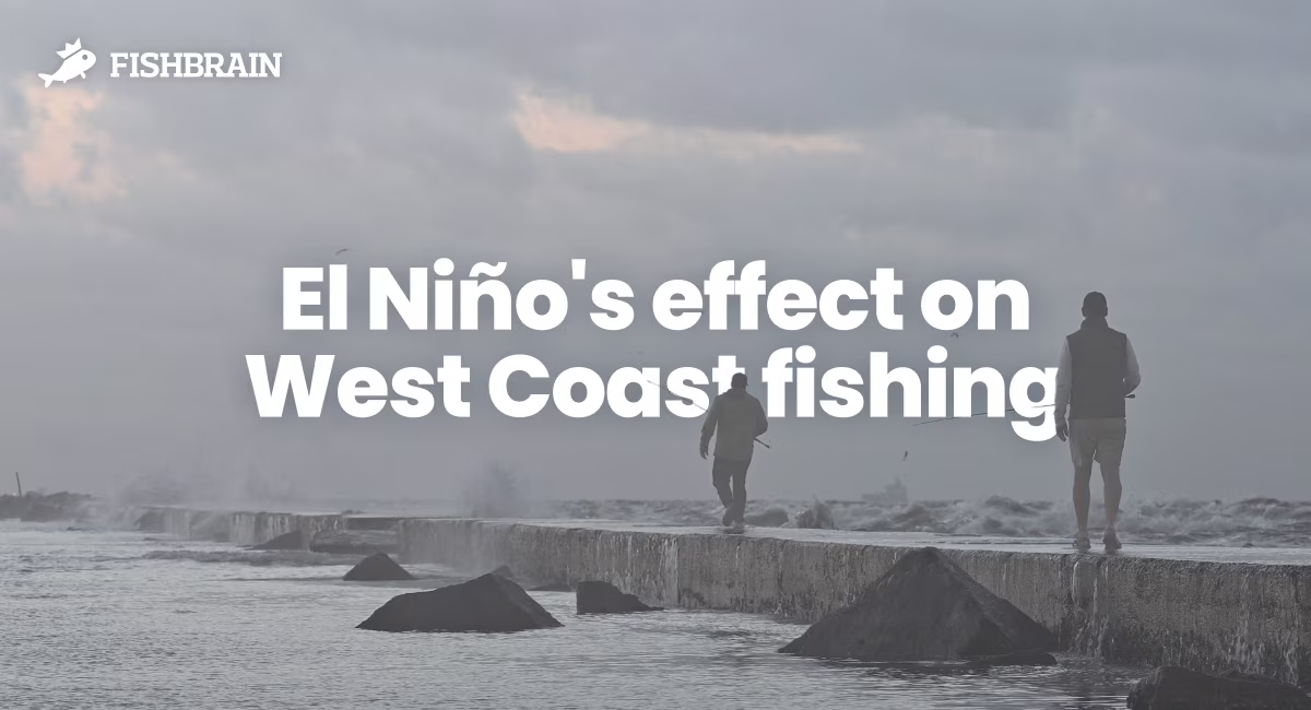 El Niño 2026: What it means for West Coast fishing