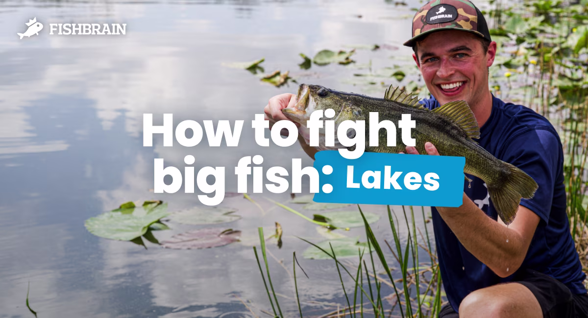 How to fight big fish: Lakes and ponds