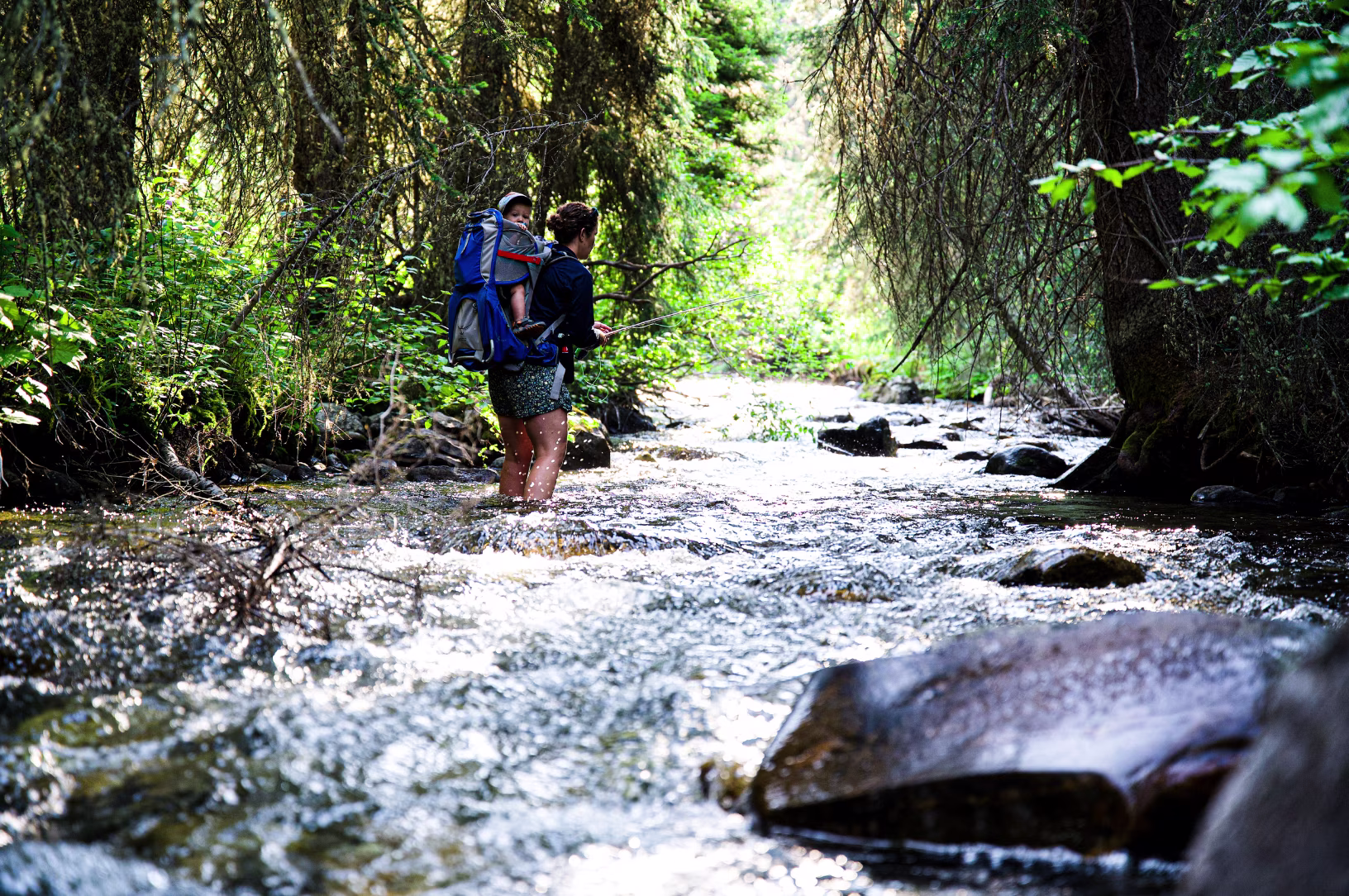 Northern California Dreaming 
