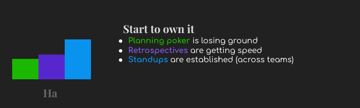 Company Agility Posture: showing graphs with less planning poker sessions, more retrospectives, and a lot more daily standups sessions. This represents the 