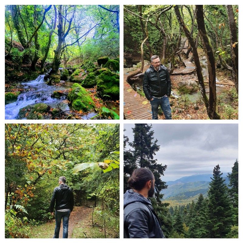 Collage of walks in Pavliani forests