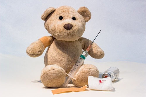 bear-vaccination