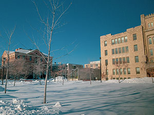 snow-university