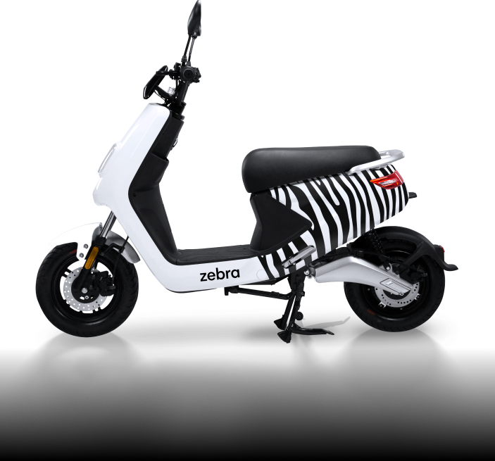 ZebraImageDarkMode.png