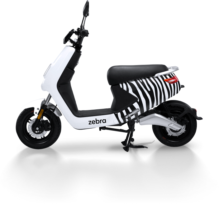 ZebraImageLightMode.png