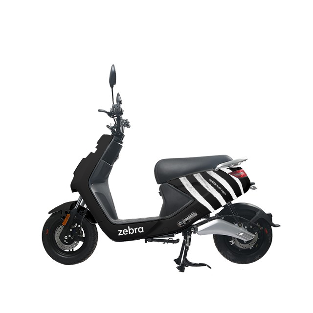 zebra scooter