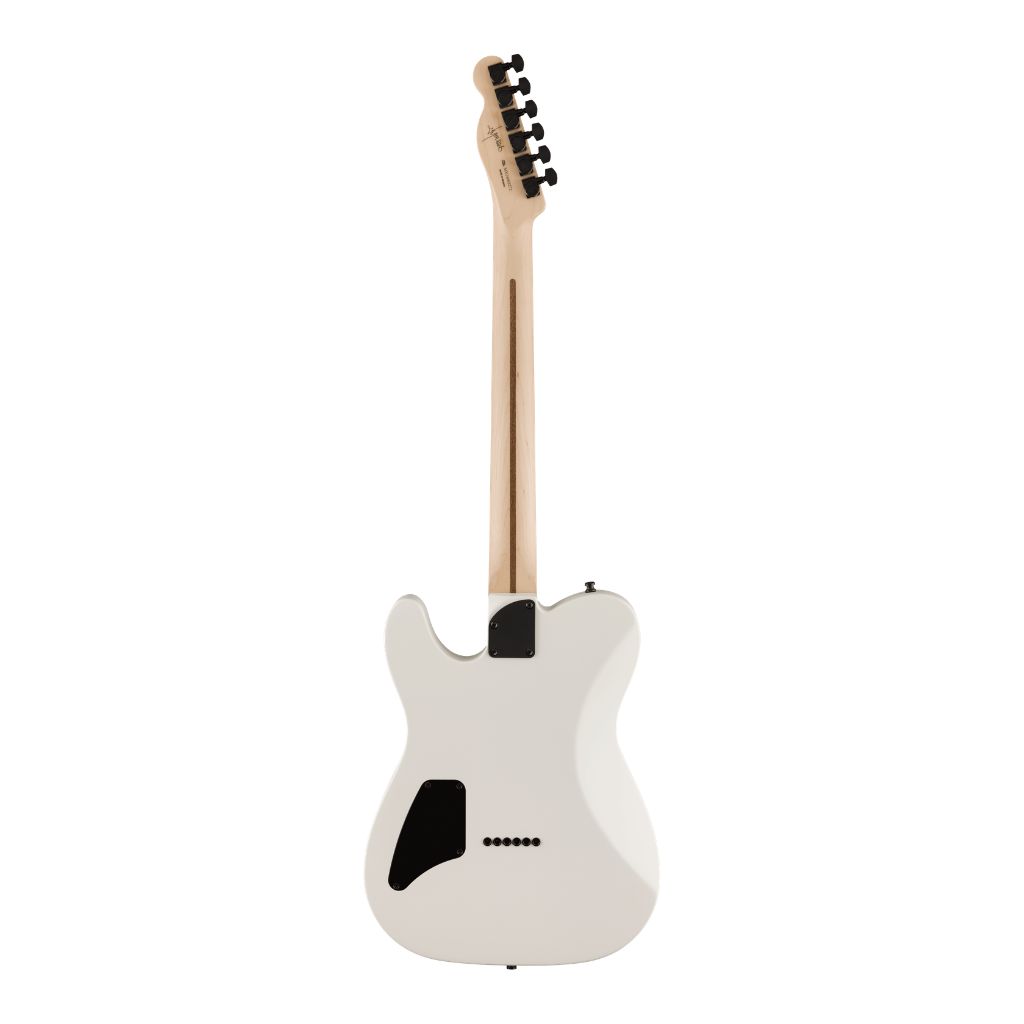 Fender Jim Root Telecaster Electric Guitar | Guitar.com