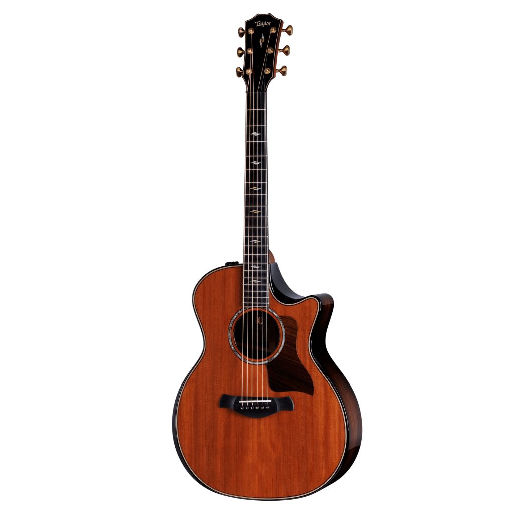 Taylor 50th Anniversary Builder’s Edition 814ce LTD Acoustic Guitar