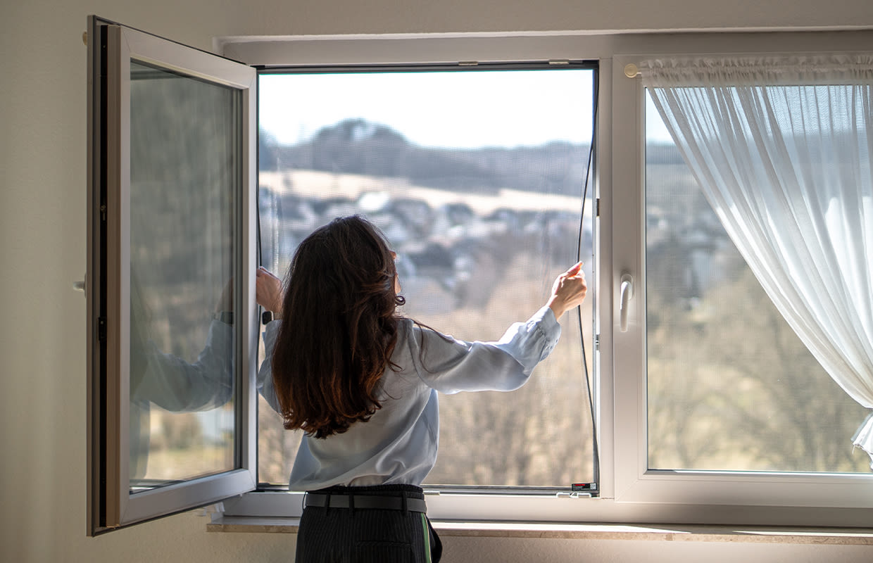 window measure