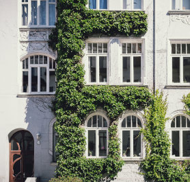 Bauwerksbegrünung: Ein Überblick