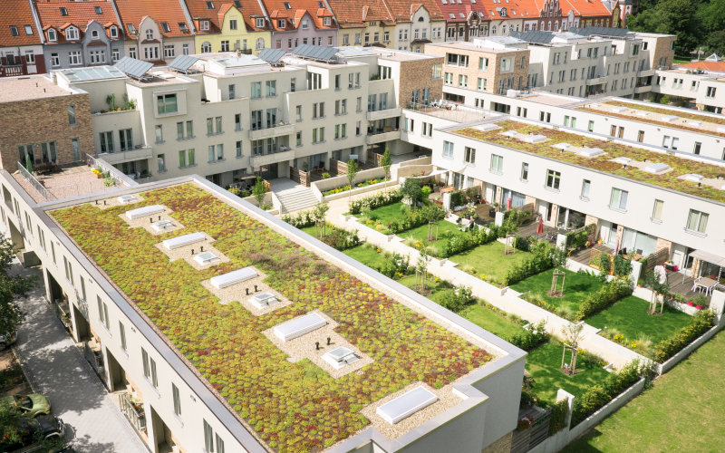 hagebau_Bauwerksbegrünung_Bild2.jpg