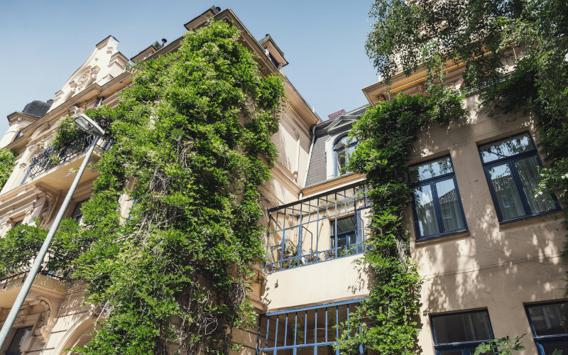 großes Reihenhaus mit vertikaler Begrünung 