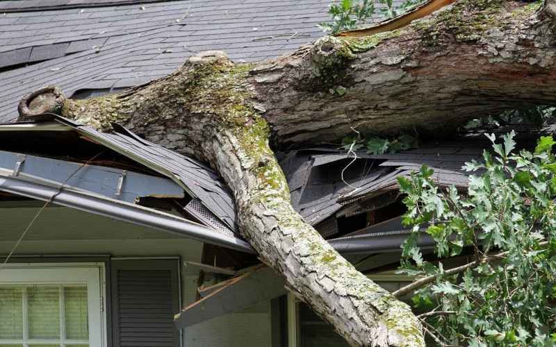 Sturmschaden, Baum spaltet ein Dach