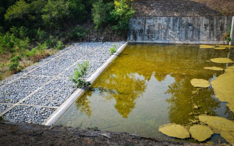 Wasser steht an einem Kiesbeet