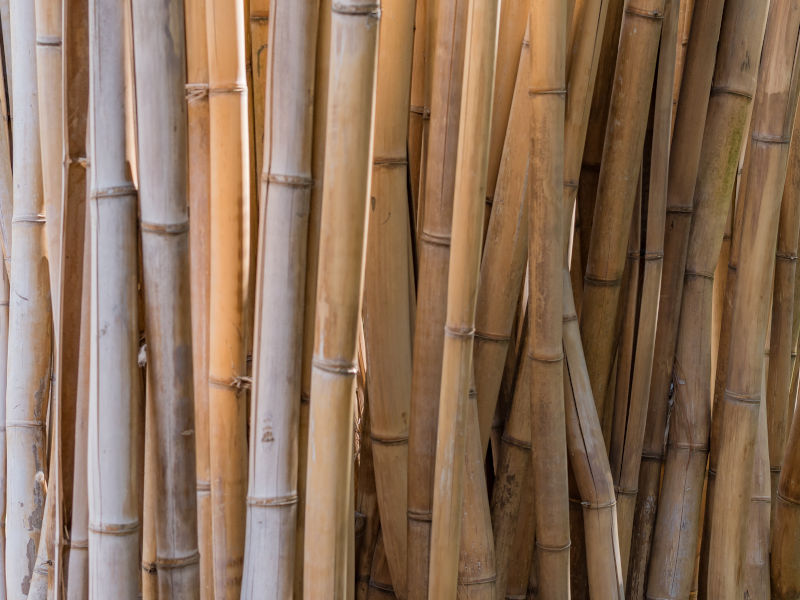 Bambus Terrassendielen  Natrlich (aber) kein Holz