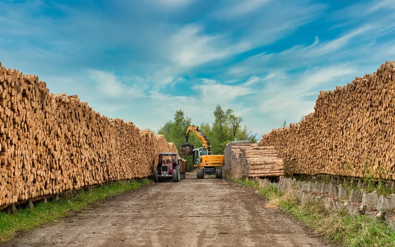 Baufahrzeuge transportieren Holz