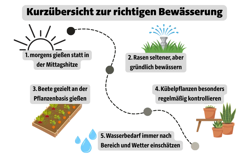 Kurzübersicht zur richtigen Bewässerung: morgens gießen statt in der Mittagshitze, Rasen seltener, aber gründlich bewässern, Beete gezielt an der Pflanzenbasis gießen, Kübelpflanzen besonders regelmäßig kontrollieren, Wasserbedarf immer nach Bereich und Wetter einschätzen