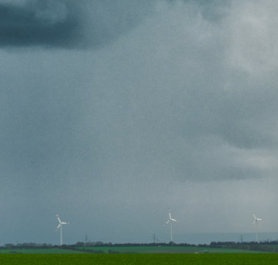 Warum solltest Du Regenwasser nutzen?