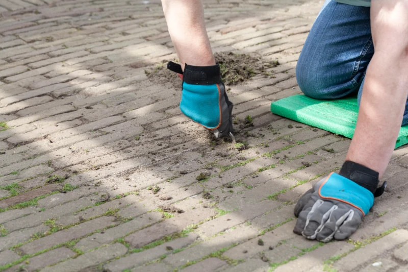 Person entfernt Unkraut zwischen Pflastersteinen mit Handschuhen.