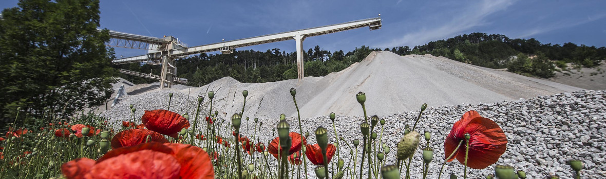 Mohnblumen stehen vor einer großen Kiesgrube 