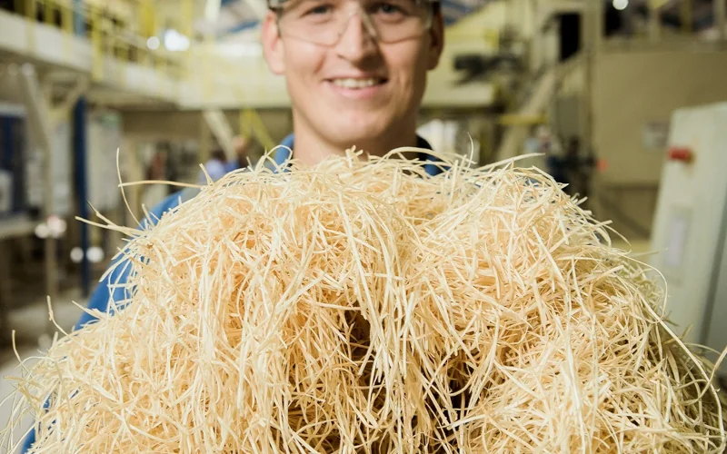 Mann hält einen Haufen Holzfaser in der Hand