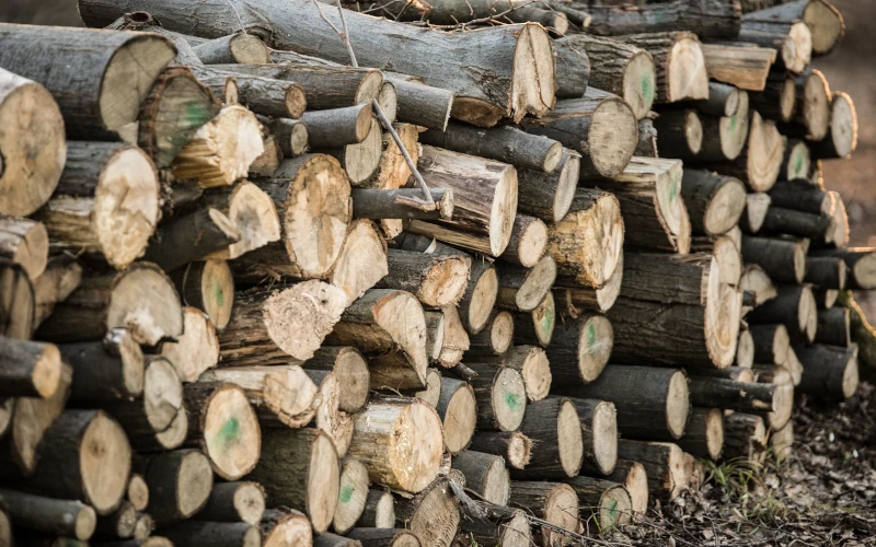 Holz ist gespaltet.