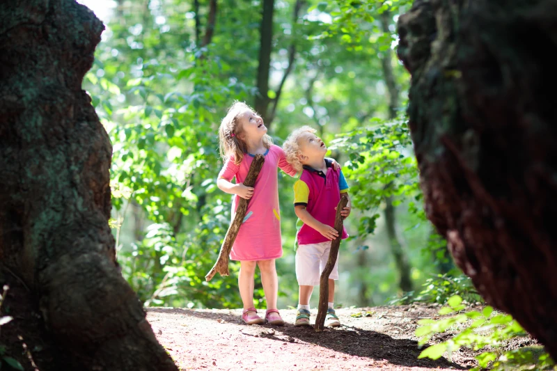 Zwei kleine Kinder gehen bei gutem Wetter neugierig blickend durch einen Wald.