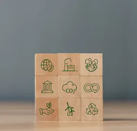 Der Klimawandel in deutschen Wäldern
