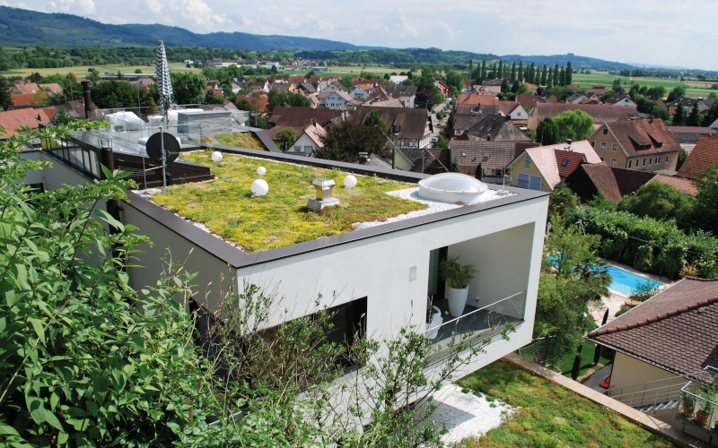 Weißes, modernes Mehrfamilienhaus mit Dachbegrünung