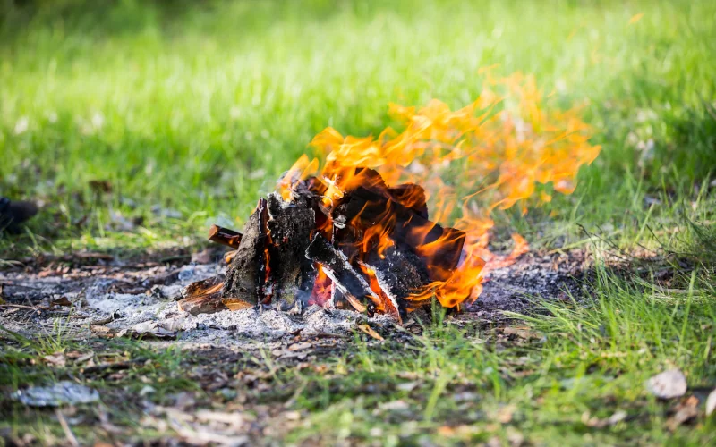 brennende Überreste eines Lagerfeuers liegen auf dem Rasen
