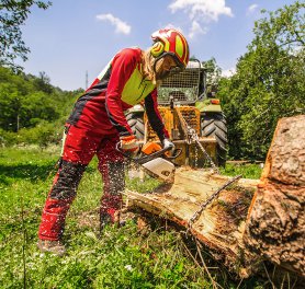 Sicher Arbeiten im Garten- und Landschaftsbau