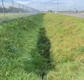 Den natürlichen Wasserkreislauf mit Grünmulden unterstützen