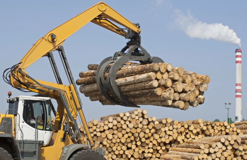 Ein Bagger mit Holzgreifer und zahlreiche Baumstämme.