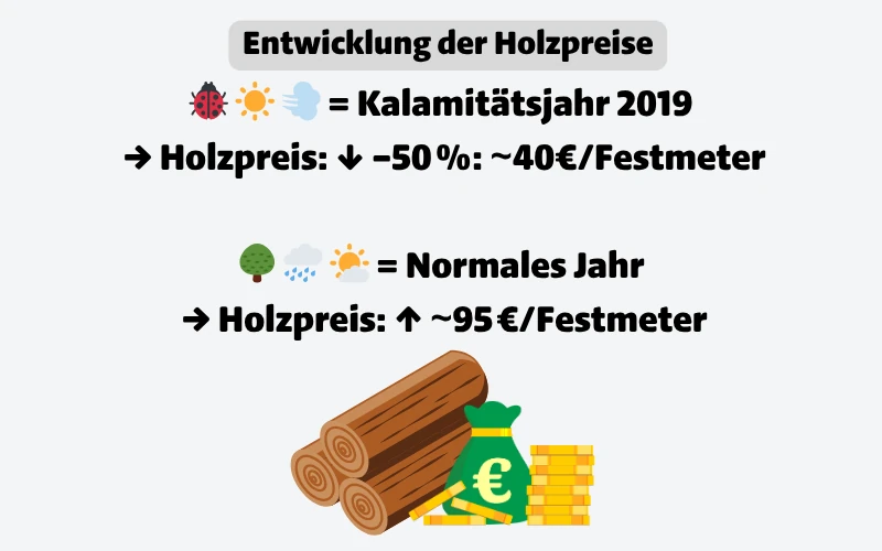 Entwicklung der Holzpreise, Marienkäfer-emoji, Sonnen-emoji, Kalamitätsjahr 2019, Holzpreis -50%, 40€/ Festmeter, Baum-emoji, Regenwolken-emoji, normales Jahr, Holzpreis, 95€/ Festmeter.