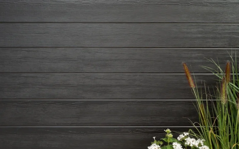 Hauswand mit schwarzen Fassadenplatten