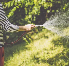 Garten richtig bewässern: Wann und wie viel Wasser brauchen Rasen, Beet und Kübelpflanzen?