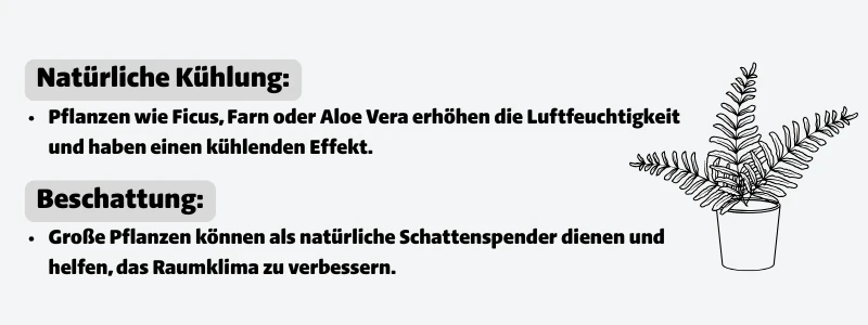 Natürliche Kühlung: Pflanzen wie Ficus, Farn oder Aloe Vera erhöhen die Luftfeuchtigkeit und haben einen kühlenden Effekt, Beschattung:Große Pflanzen können als natürliche Schattenspender dienen und helfen, das Raumklima zu verbessern.