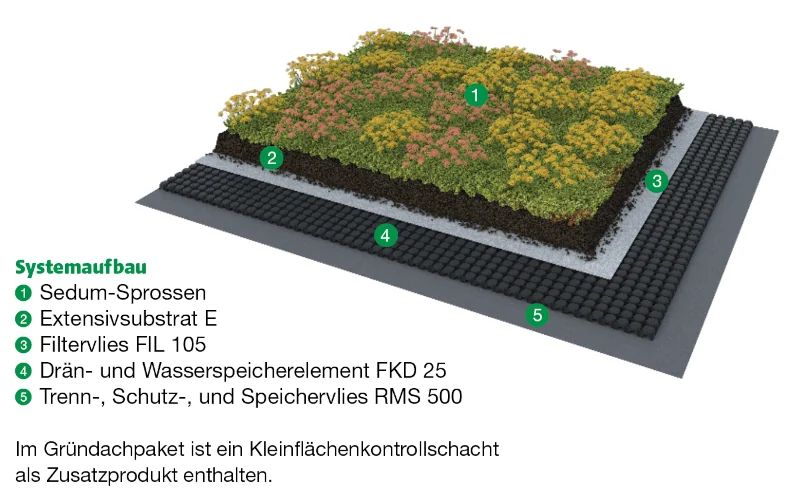 Schema Systemaufbau eines Gründachs