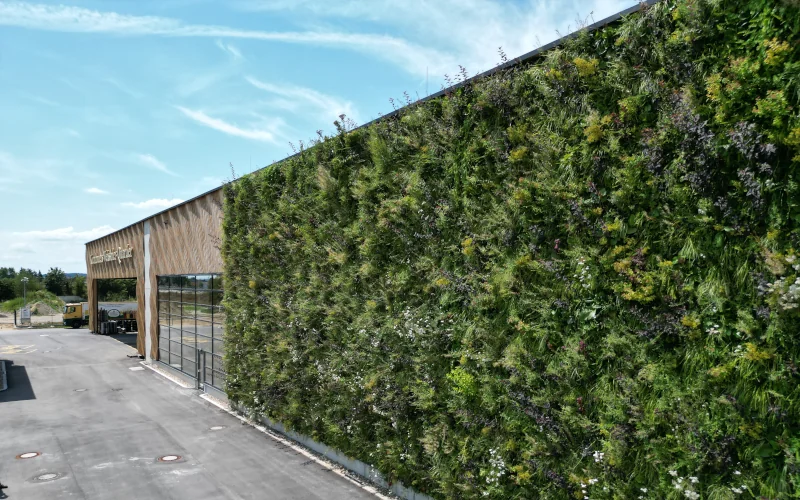 Supermarkt mit begrünter Aussenfassade