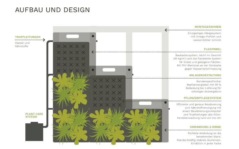 Infografik zu Aufbau und Design von Fassadenbegrünung