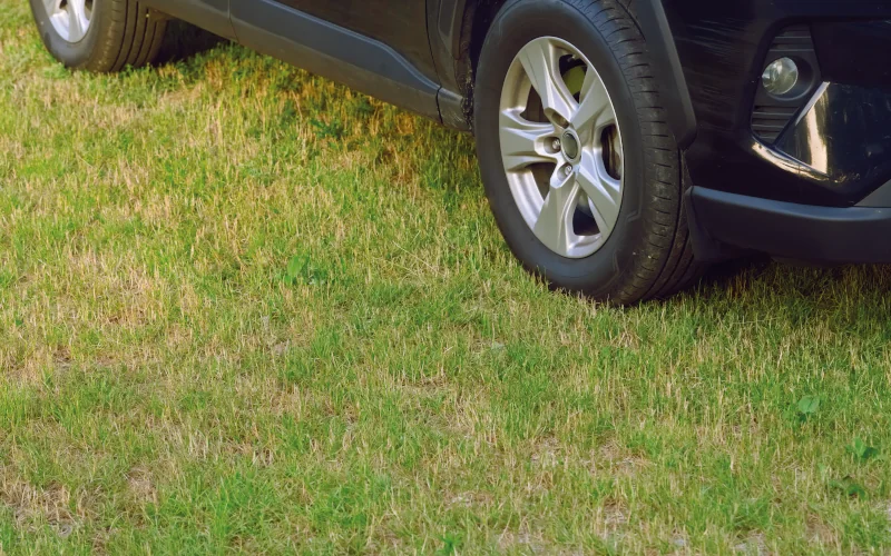 Auto steht auf einer Rasenfaläche