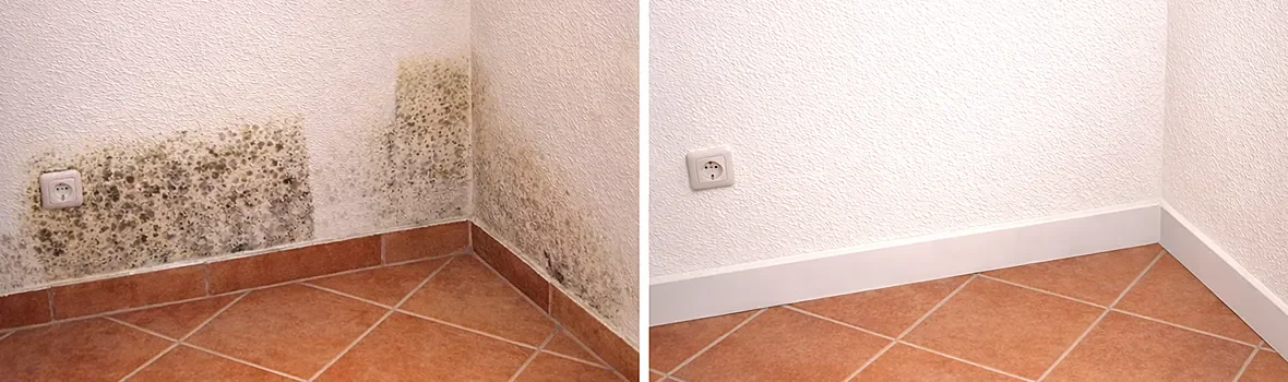 Vorher und Nachher Ansicht von Innenwänden mit Schimmel und ohne