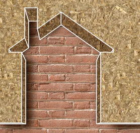 Hanfkalk – ein alternativer Baustoff mit Zukunft und positiven Eigenschaften?