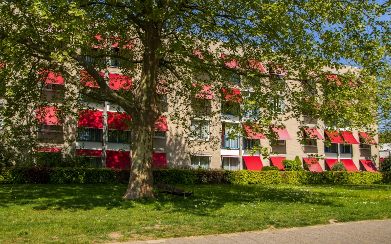 Sonnenschutzvorrichtungen sorgen in Pflegeheimen für Abkühlung. Eine große, grüne Platane, die Schatten spendet, und farbenfrohe Sonnenschutzvorrichtungen sorgen in einem Pflegeheim für ältere Menschen und hilfsbedürftige Menschen für Abkühlung