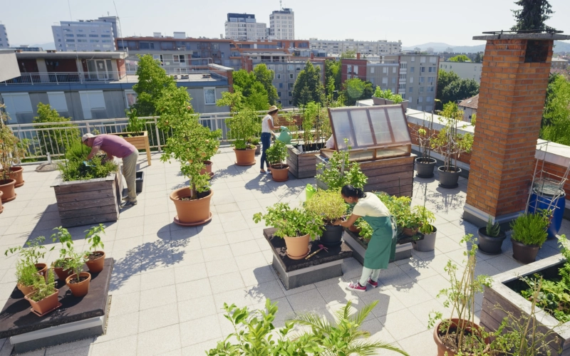 Drei Menschen, die auf dem Dachgarten arbeiten
