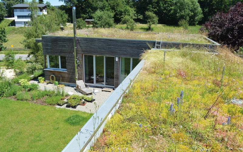 Modernes Niedrigenergiehaus mit Dachbegrünung