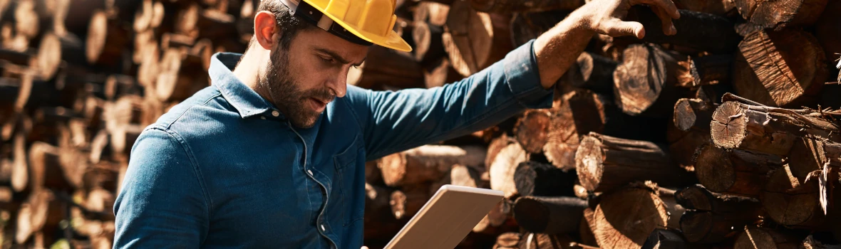 Mann stützt sich auf Stapel Holzstücke und schaut auf ein Tablet.